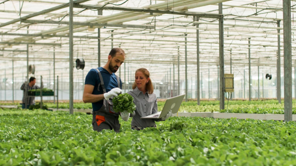 Gestores corporativos analisando dados de compliance para mitigar riscos logísticos e fortalecer a governança em operações descentralizadas do agro e da indústria.